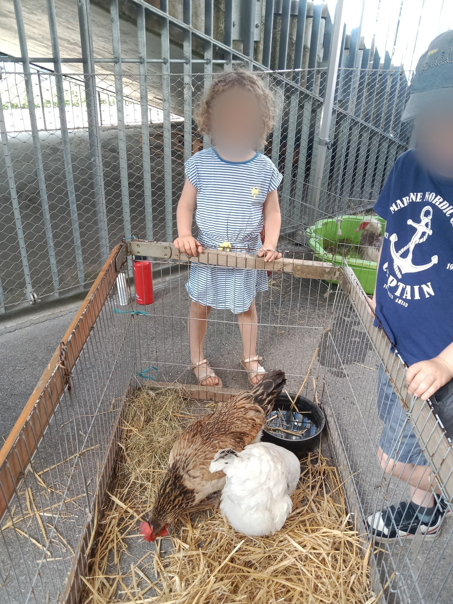 RAM ferme pédagogique